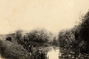 The canal in Loxwood, 21 August 1891