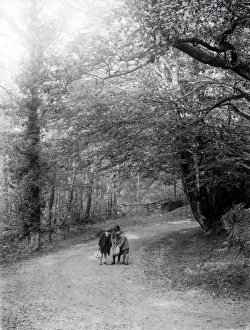 Chestnut Gathering - October 1938
