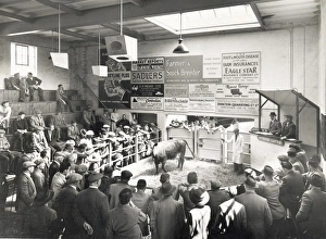 Chichester Cattle Market, c1962