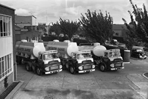 Chichester Photographic Collection: Chichester Dairies lorries