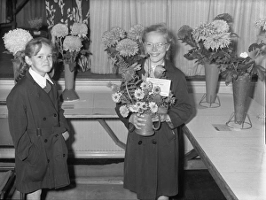 Competition Prints: Chichester: West Sussex Horticultural Society Autumn Show