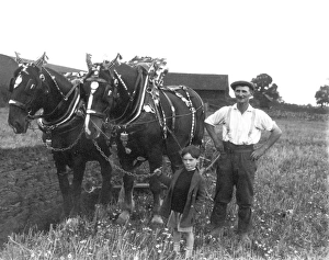 Chiddingfold Ploughing Match