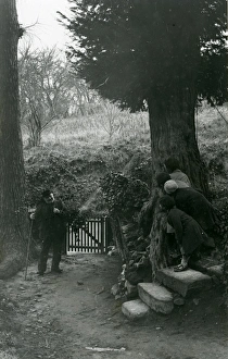 Children hiding from elderly man whilst gathering holly, December 1935 Children hiding from elderly man whilst gathering holly, December 1935