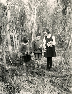 Three children picking daffodils, March 1938