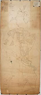Tithe Award Maps, 1808-1859 Collection: Chithurst Tithe Map, c. 1840