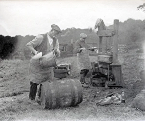 Cider making at Hillgrove, Sussex