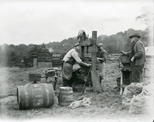 Cider making at Hillgrove, Sussex, November 1933