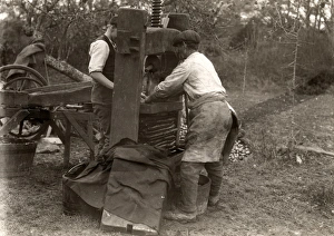 Cider Making at Lickfold, Lodsworth