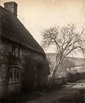 Images Dated 20th February 2015: Cottage in Charlton, 1909