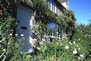 David Johnston Collection: A cottage garden in East Dean, West Sussex