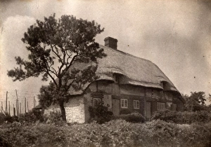 Garden Prints: Cottage in West Harting, 1910