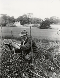 Beard Prints: Country gentleman making new fence, September 1938