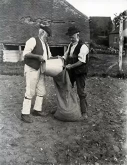 Images Dated 24th July 2013: Two country gentlemen bagging potatoes