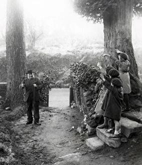 Beard Prints: Country scene in holly woods at Upperton, Sussex, December 1935