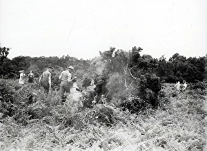Cowdray Estate Land Reclamation - July 1943