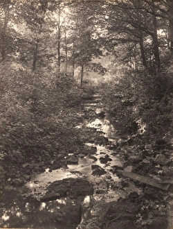 John Fletcher Collection - 'Wanderings In Sussex' Prints: Crowborough Warren, 1906