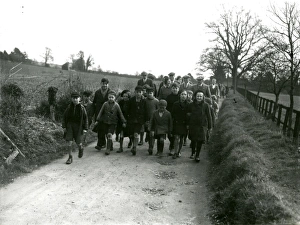 Road Prints: Crowd following the Storrington Beagles Meet, Swan, Fittleworth, March 1938