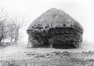 Damaged Haystack at Wisborough Green - 16 February 1945