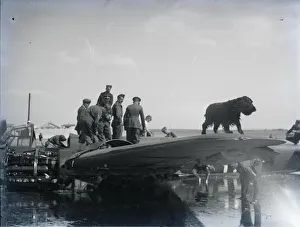Uniform Prints: A dog sitting on wing of downed Junkers 88 in Pagham Harbour