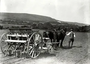 Drilling mangels beneath the South Downs at Storrington, 1928 Drilling mangels beneath the South Downs at Storrington, 1928