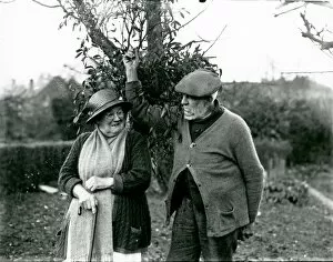 Images Dated 20th February 2014: Elderly couple collecting mistletoe at Camelsdale, December 1937
