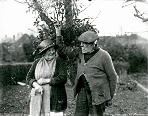 Elderly couple collecting mistletoe at Camelsdale, December 1937 Elderly couple collecting mistletoe at Camelsdale, December 1937