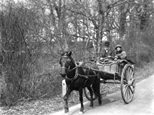 Elderly couple riding down a country lane in a pony and trap at Lurgashall, March 1934 Elderly couple riding down a country lane in a pony and trap at Lurgashall, March 1934