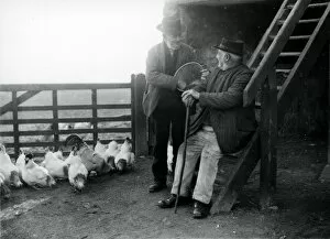 Images Dated 25th July 2013: Two elderly gentlemen feeding chickens at a farm in Sussex