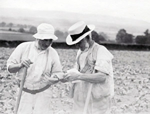 Waistcoat Prints: Two elderly men in a field in Sussex