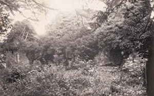 Exterior of the ruined church at Treyford, 1905