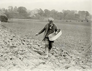 Agriculture Prints: Farm hand sowing winter wheat at Bury, Sussex, November 1932