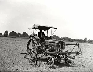 Images Dated 19th January 2012: Farmall tractor