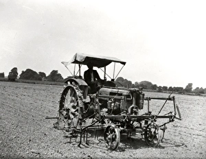 Farmall tractor