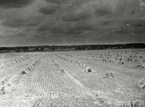 Images Dated 13th April 2015: Farmland at Harvest time - August 1943