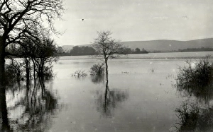Floods at Coldwaltham - February 1939