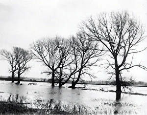 Floods at Pulborough – December 1938 Floods at Pulborough – December 1938