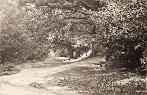 Forest Row, 1906