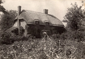 Garden Prints: Forest Side: cottage, 1910