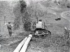 Images Dated 20th April 2015: Forestry Work at Lavington - February 1944