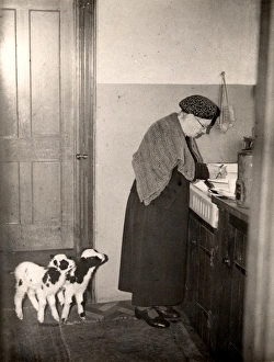Glasses Prints: Garland Old Lady at Sink with Two Lambs George Garland Collection West Sussex