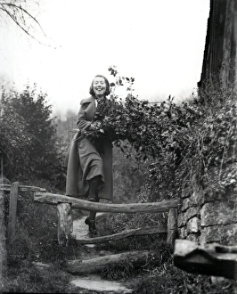 Gathering holly for Christmas