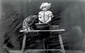 Images Dated 15th October 2012: Girl with cat