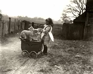 Images Dated 28th January 2013: Girl and lambs with toy pram in Petworth, Sussex