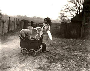 Girl and lambs with toy pram in Petworth, Sussex
