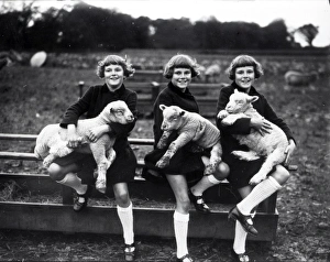 Cute Prints: Girl triplets with lambs