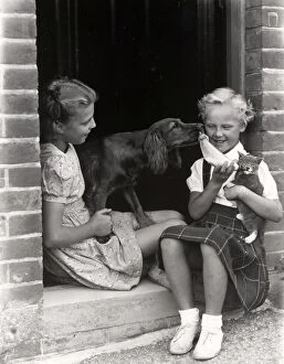 Images Dated 6th June 2012: Two girls playing with dog and kitten, 1949