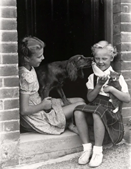 Two girls playing with dog and kitten, 1949
