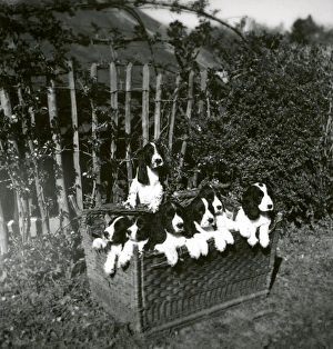 Are we going somewhere?'- 16 April 1948