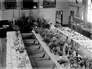 Graffham Flower Show