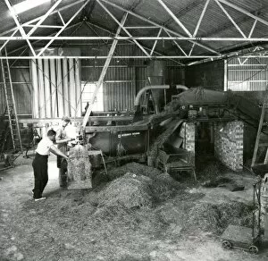 Images Dated 2nd July 2015: Grass Drying at Billingshurst - about March 1948